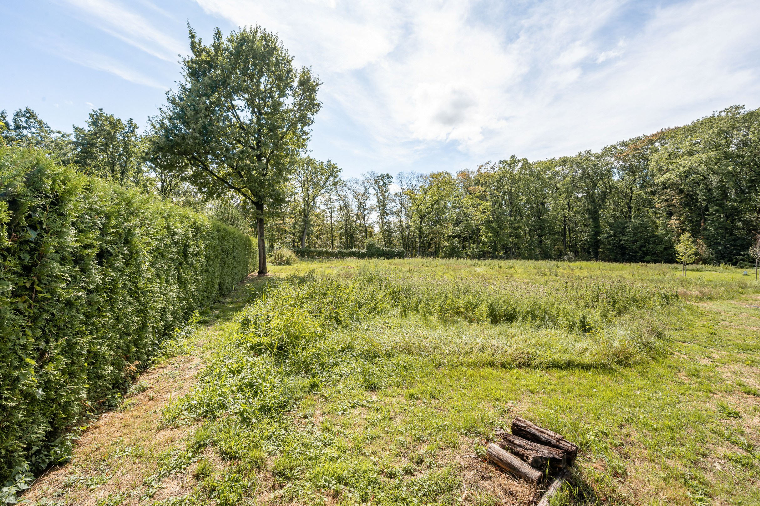 Land for sale in Hasselt - photo 4