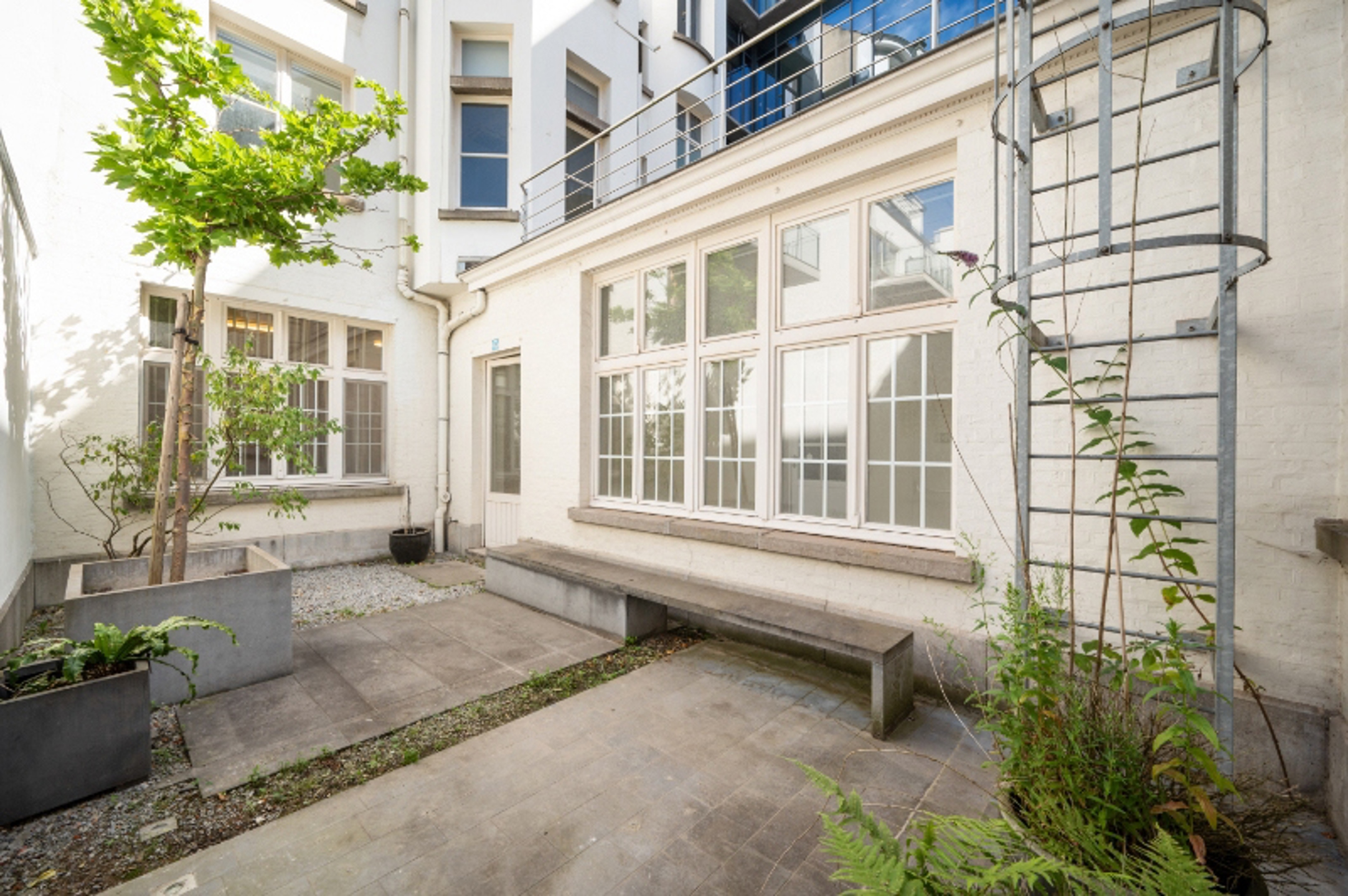 Kantoorgebouw te huur vlakbij de Koningsstraat in Brussel - foto 5