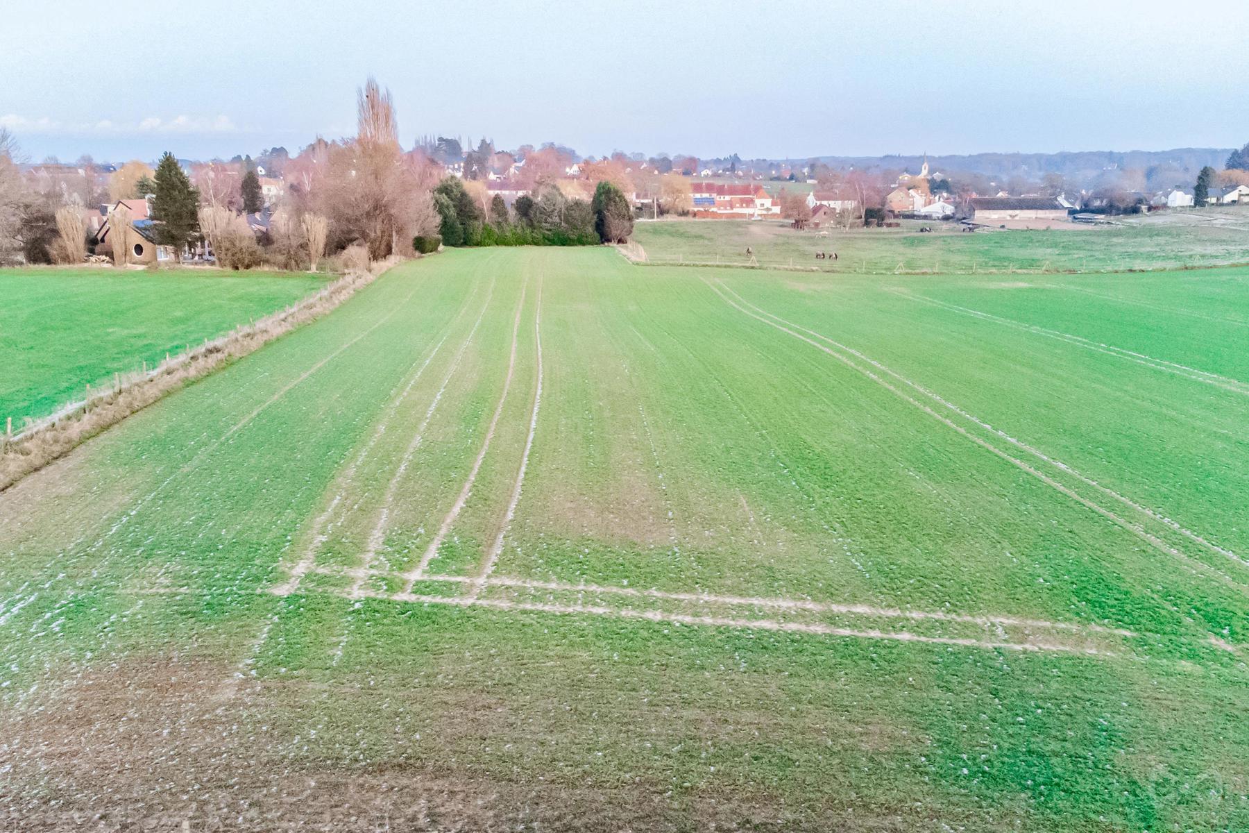 Land for sale in Lasne-Chapelle-Saint-Lambert - photo 4