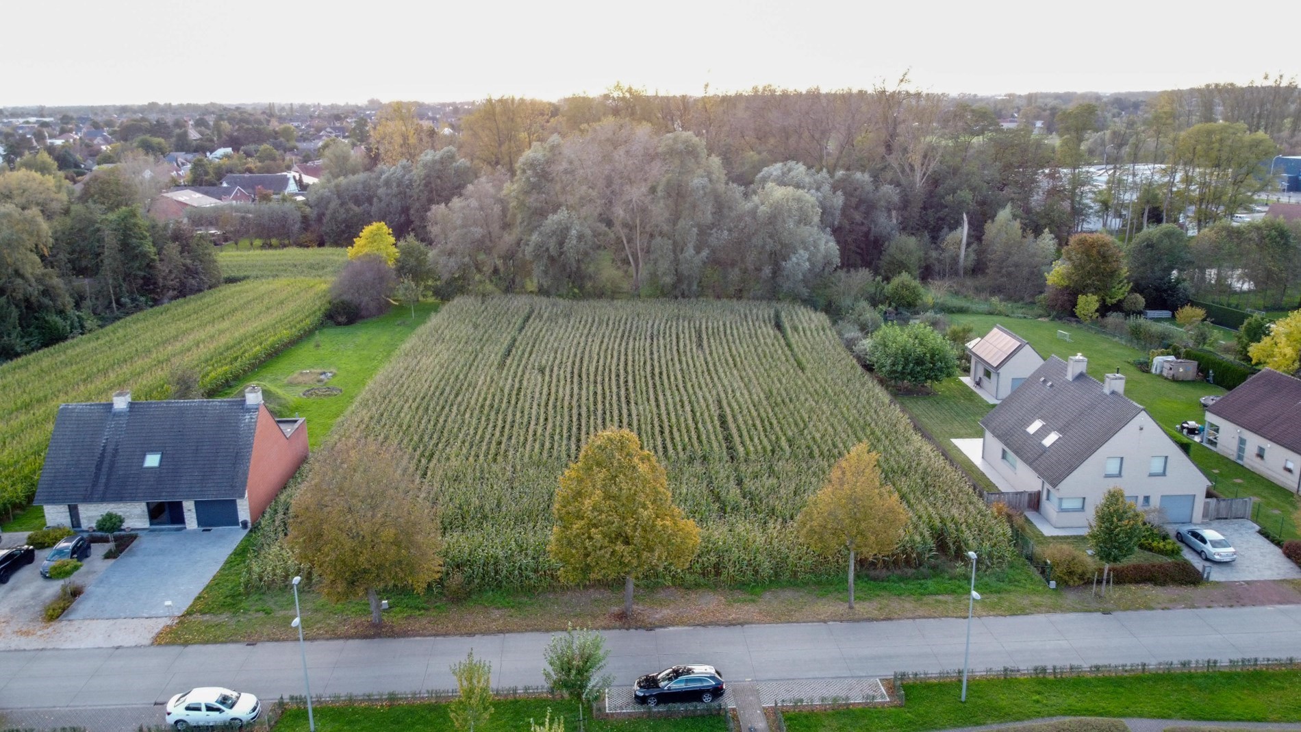 Perceel bouwgrond in Olsene – zonder bouwverplichting! - foto 1