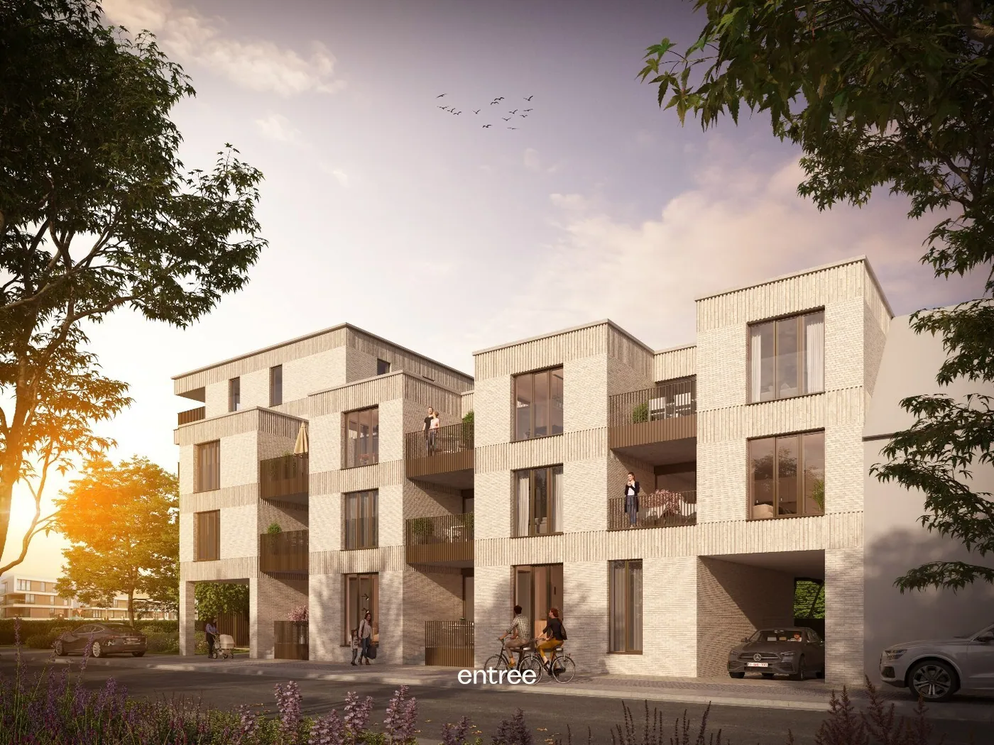 …