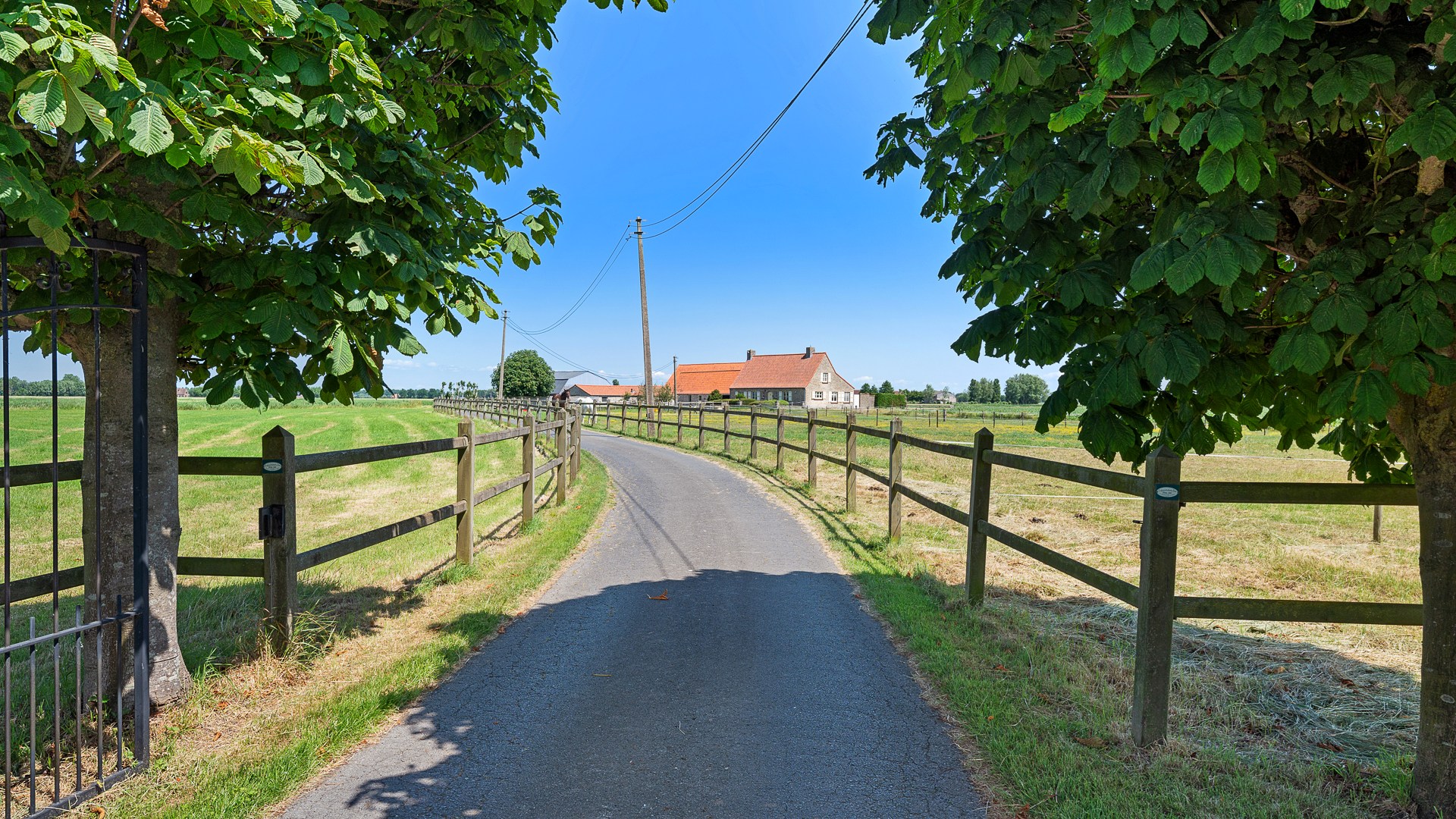 Prachtig gelegen eigendom op bijna 5ha te Ramskapelle - foto 4