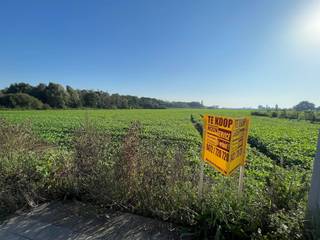 Prachtig perceel bouwgrond, op een zeer mooie en rustige ligging met zicht op groen te Menen. Diverse bouwmogelijkheden, zie onze andere advertenties. Geen bouwverplichting. Het perceel is ongeveer 16 meter breed en ongeveer 40 meter diep. Achtergelegen is landbouwgrond. Panoramisch uitzicht!!! Unieke mogelijkheid. ook een goede investering mogelijkheid. Zeer waardevast!