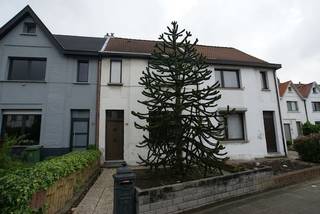 Maison à vendre à Anvers