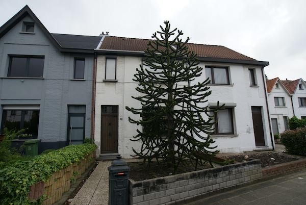 House for sale in Berchem with 3 bedrooms - photo 1