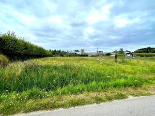 Land for sale in Puurs-Sint-Amands
