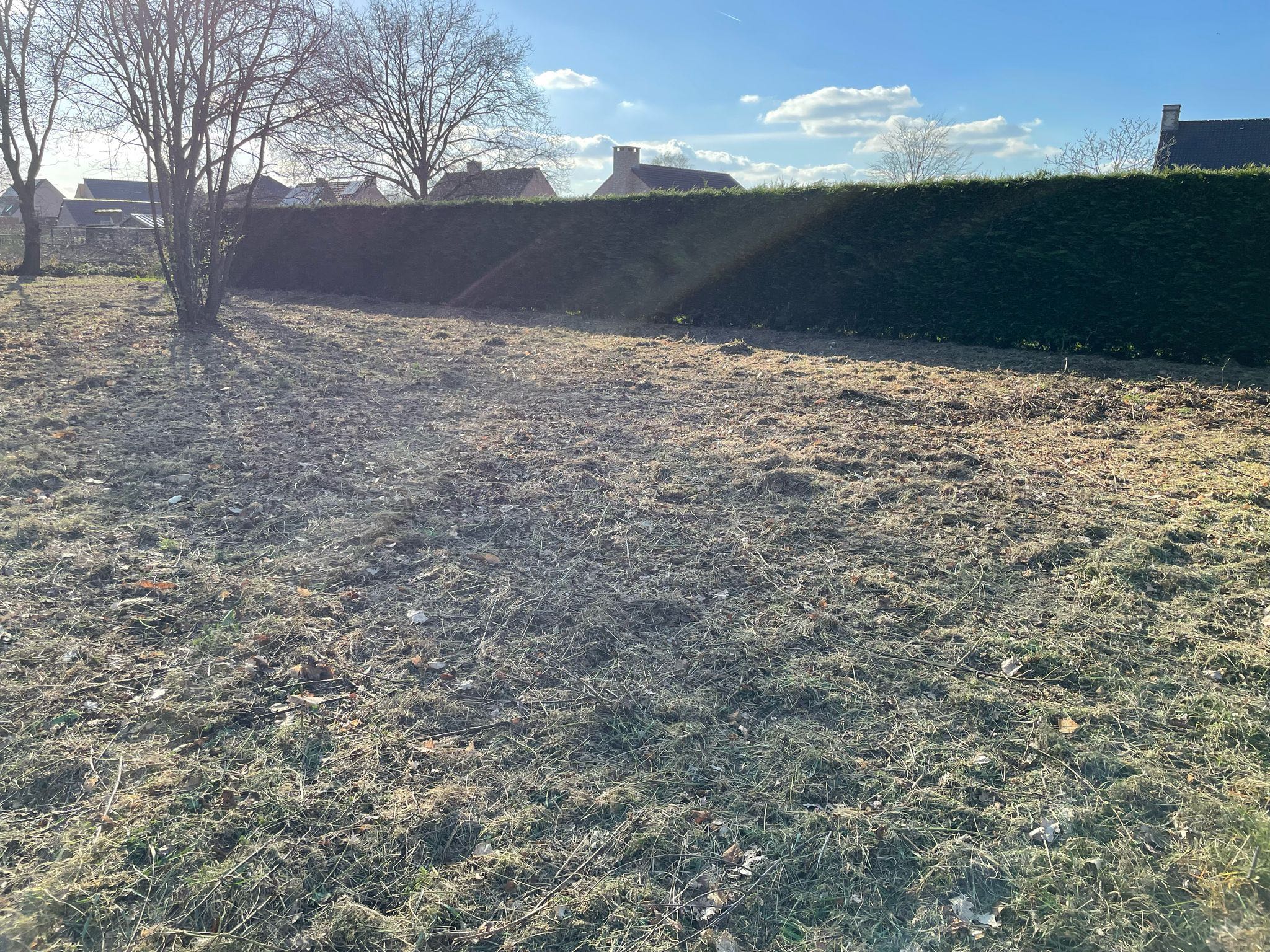 Grond te koop in Booischot - foto 5