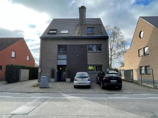 Commercial for rent in Dendermonde