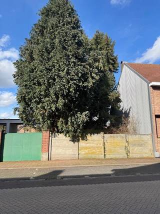 Terrain à vendre à Vosselaar