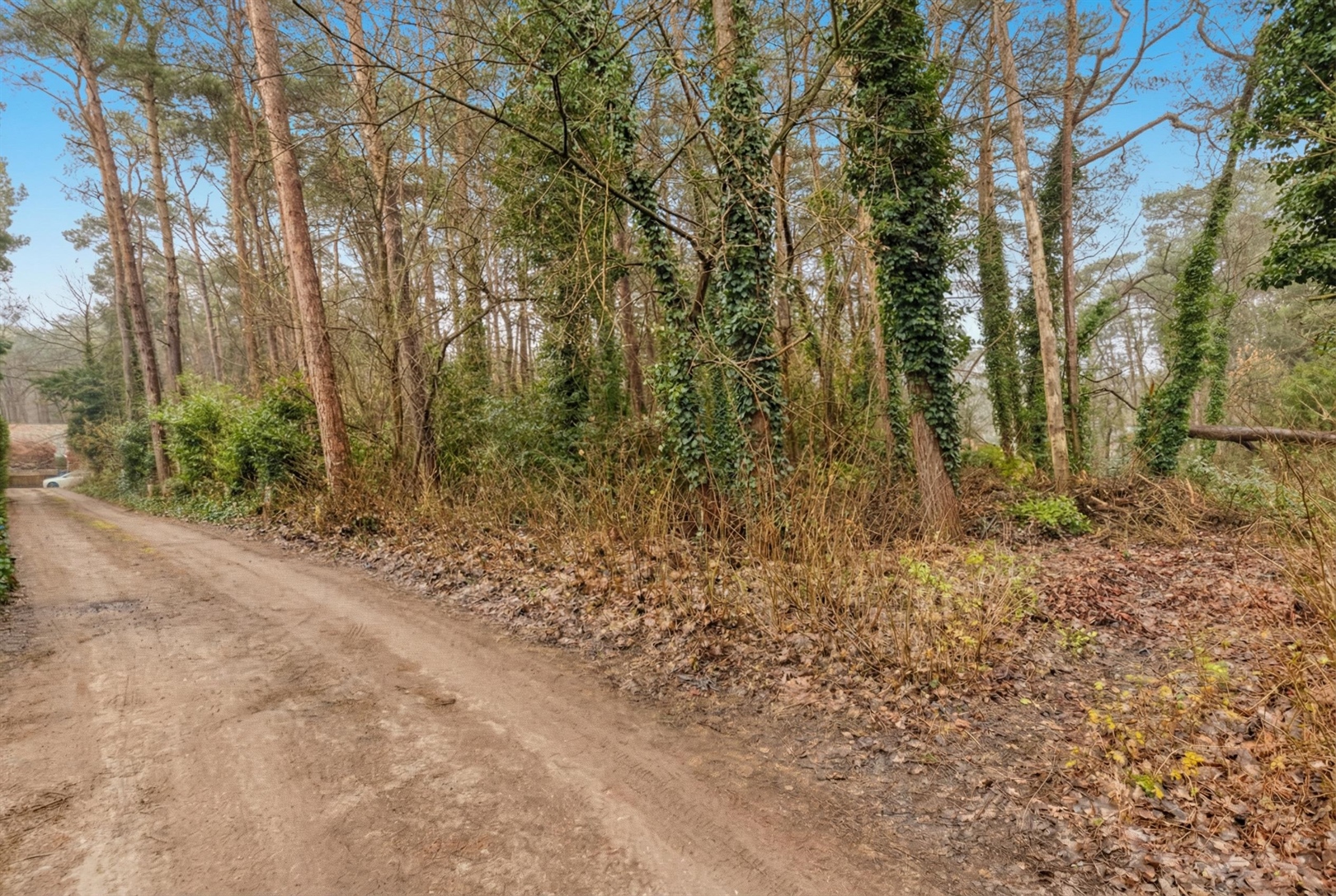 Residentieel gelegen bouwgrond - foto 4