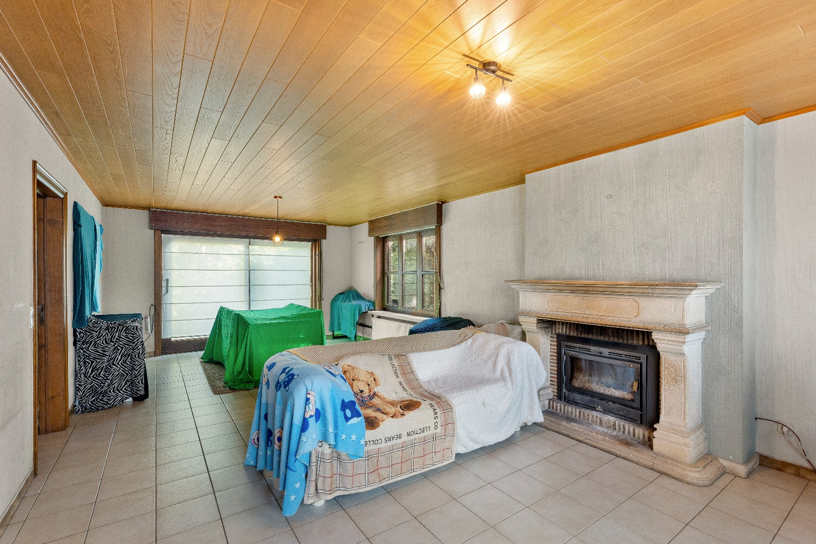 OP TE FRISSEN WONING MET 3 SLPKS, GROTE TUIN EN 2 GARAGES - foto 4