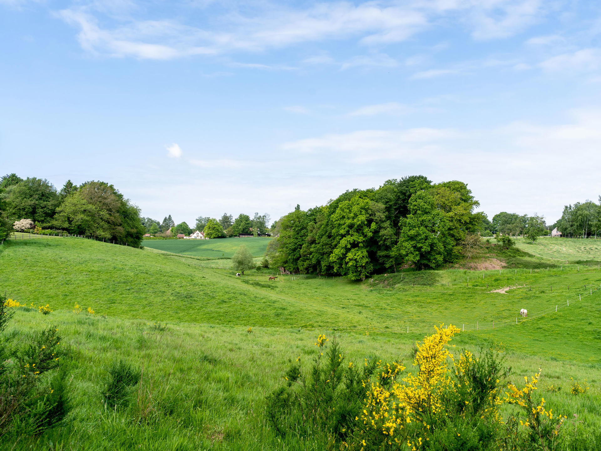 House for sale in Lasne-Chapelle-Saint-Lambert with 5 bedrooms - photo 1