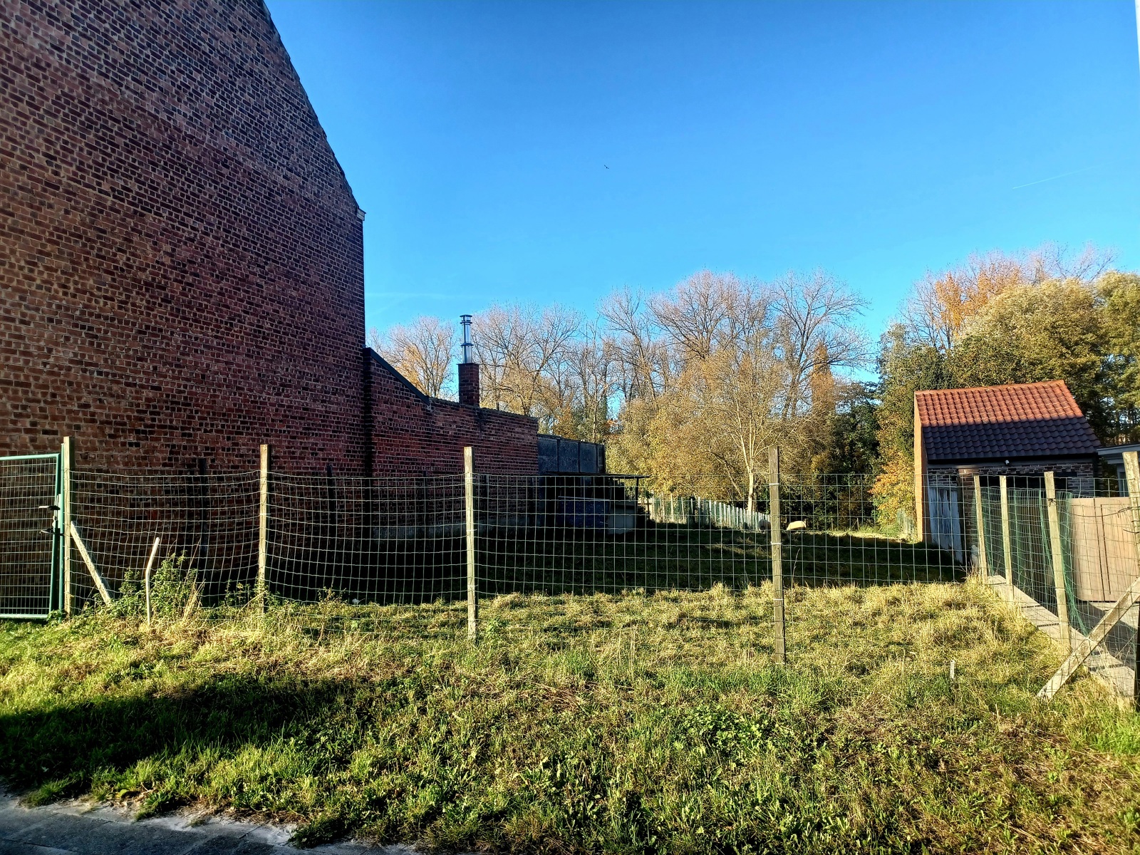 Land for sale in Denderleeuw - photo 2