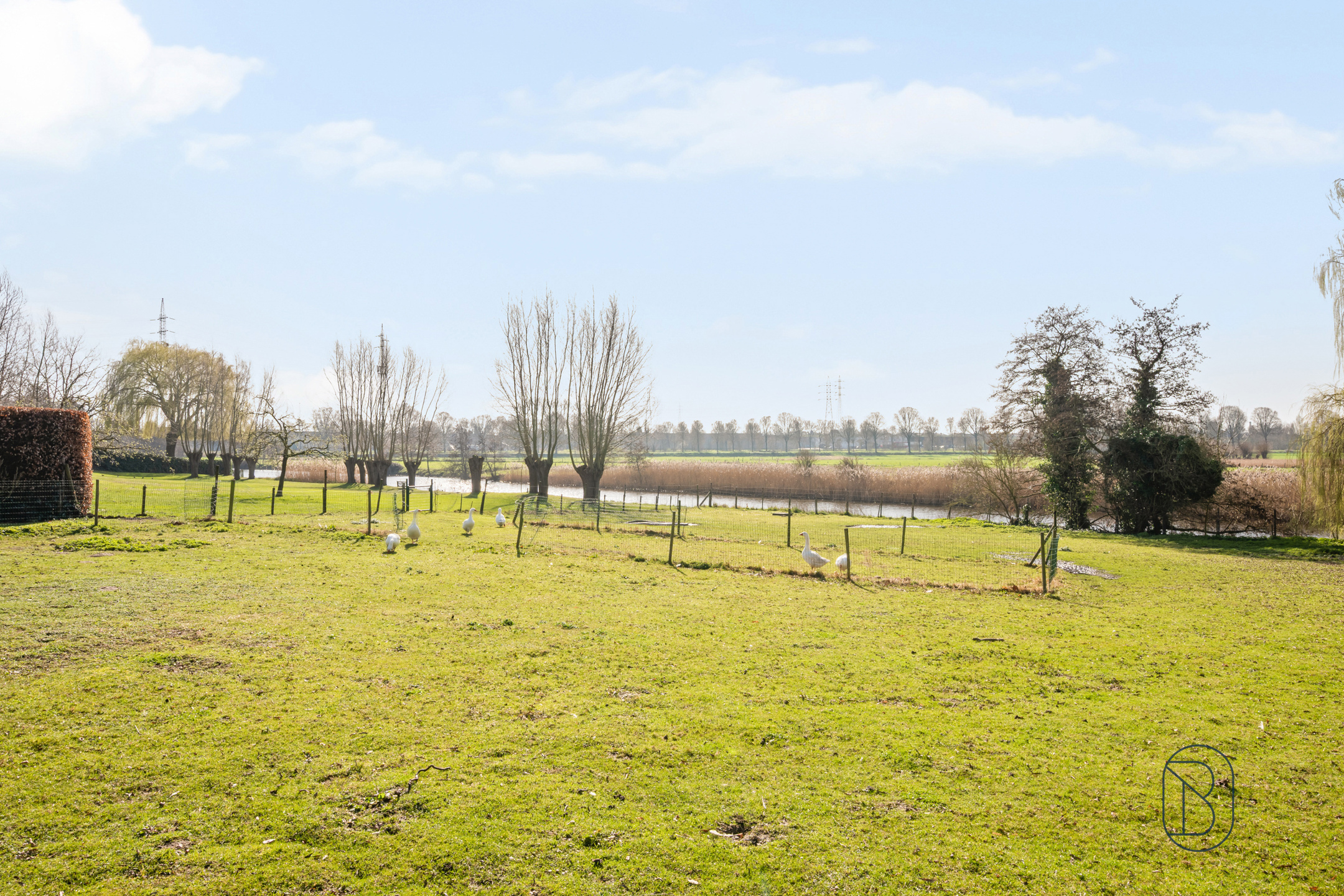 Uniek gelegen eigendom op 4642m2 met grote loods (300m2) - foto 3