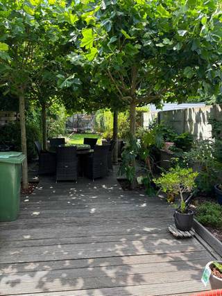 🏡 Bezoekdag – Zondag 29/03 (op afspraak)<br /><br />Ontdek onze woning tijdens de bezoekdag. Tijdens deze dag kan je de woning rustig bezichtigen en de sfeer zelf ervaren. Om elk bezoek voldoende tijd en aandacht te geven, werken we uitsluitend op afspraak met gereserveerde tijdsloten.<br /><br />📅 Zondag 29/03<br />⏰ Tijdslot reserveren verplicht<br /><br />👉 Interesse? Reserveer je bezoek via 0473 82 13 36 en ontdek of dit jouw nieuwe thuis wordt.<br /><br />Adres: Groenstraat 117; 2610 Wilrijk<br /><br />Deze grotendeels gerenoveerde en gesloten gezinswoning is gelegen tussen de begraafplaats Schoonselhof en achterliggende weilanden in de nabijheid van verschillende winkels, scholen, parken, openbaar vervoer, A12, E19, de stad Antwerpen,… <br />De grote troeven van deze woning zijn de ruime en gezellige woonkamer, de eigentijdse en ruime keuken, 3 volwaardige slaapkamers, dressing, de prachtige en praktische badkamer, het gezellige en groene terras (koel in de zomer, warm in het voor- en najaar) en de verrassend ruime tuin die uitkomt op weilanden. <br /><br />De woning is bovendien uitgerust met 17 zonnepanelen (34 m² in totaal) die in combinatie met een aantal van de andere renovatiewerken van de voorbije jaren zorgen voor een mooie EPC score van 139kWh (label B). Kortom een energiezuinige en grotendeels gemoderniseerde woning die mits het beter isoleren van een klein roofingdak (4,5 m²) zelfs snel EPC label A kan halen! <br /><br />De ingebouwde keuken is uitgerust met een oven, koelkast, inductiekookplaat, dampkap en vaatwasser. De woning is ook voorzien van een (zeer) ruime kelder. <br /><br />Bouwjaar: 1953<br />Bewoonbare opp.: 216 m²<br />Grondopp.: 472 m²<br />KI: €482,86<br /><br />Renovaties:<br /><br />2014: geïsoleerd dak boven keuken, 2 gasboilers, renovatie living<br />2015: nieuwe ramen &amp; buitendeuren<br />2016: nieuwe keuken + elektriciteit &amp; leidingen, renovatie toilet<br />2020: nieuwe dakkapel vooraan<br />2021: 11 zonnepanelen achteraan<br />2023: volledig nieuw dak (+6 zonnepanelen), nieuwe badkamer, renovatie trappen &amp; traphal<br />