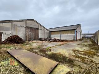 Fantastisch gelegen bedrijfsgebouw van 4.000 m² te huur in Zwevezele.De magazijnen beschikken over een volledige overspanning met een vrije hoogte...