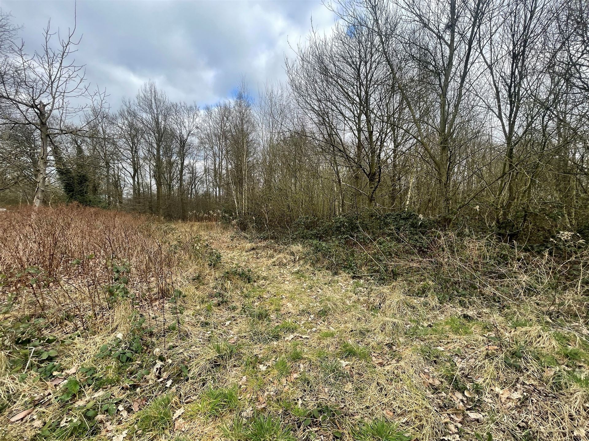 Terrain à vendre à Elewijt - photo 4