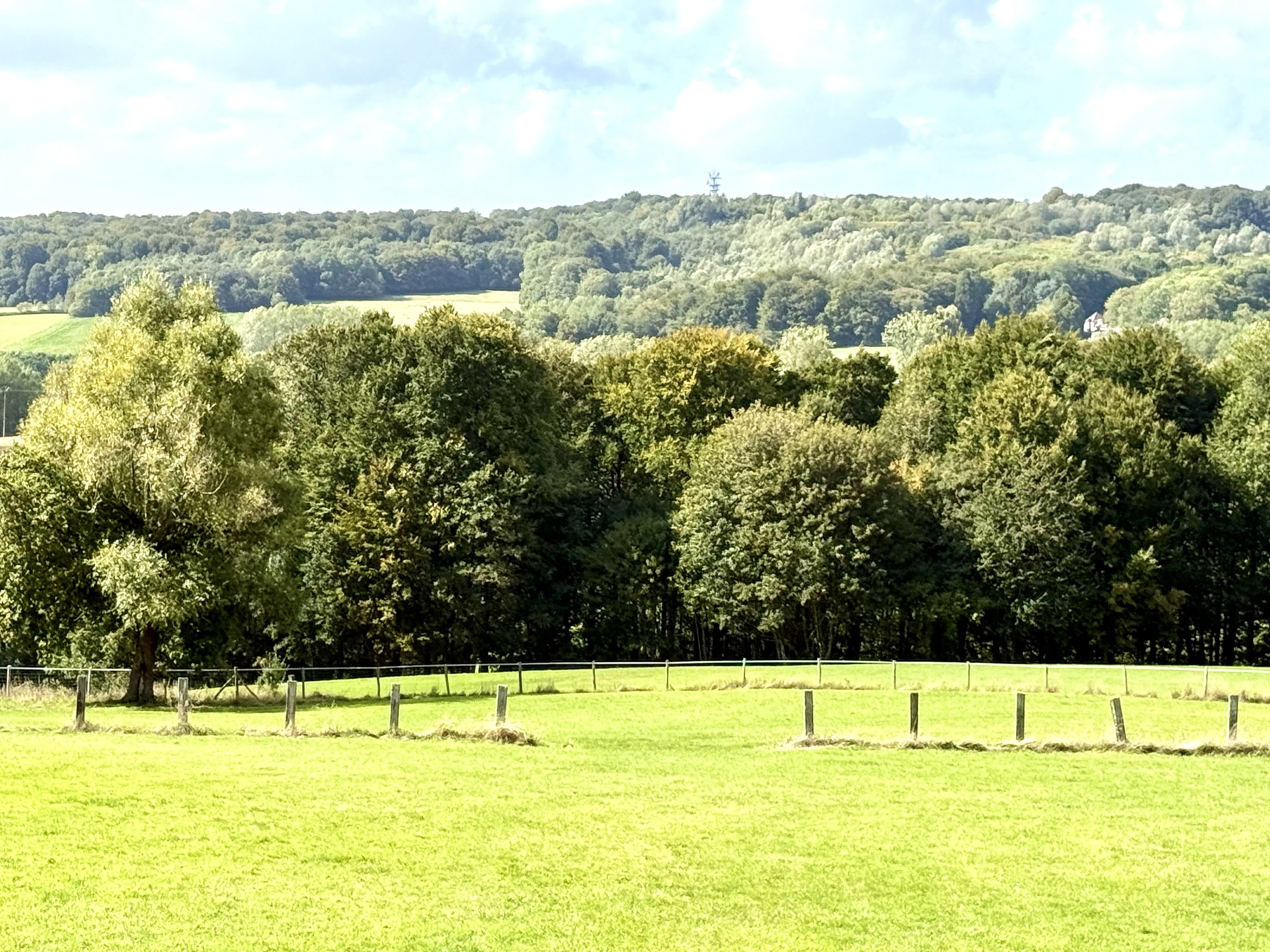 Bouwgrond van 5929m2 met een UNIEK ZICHT! - foto 4