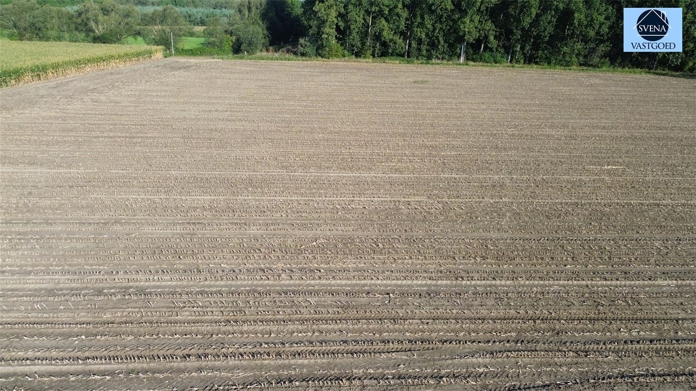 Land for sale in Geraardsbergen - photo 2