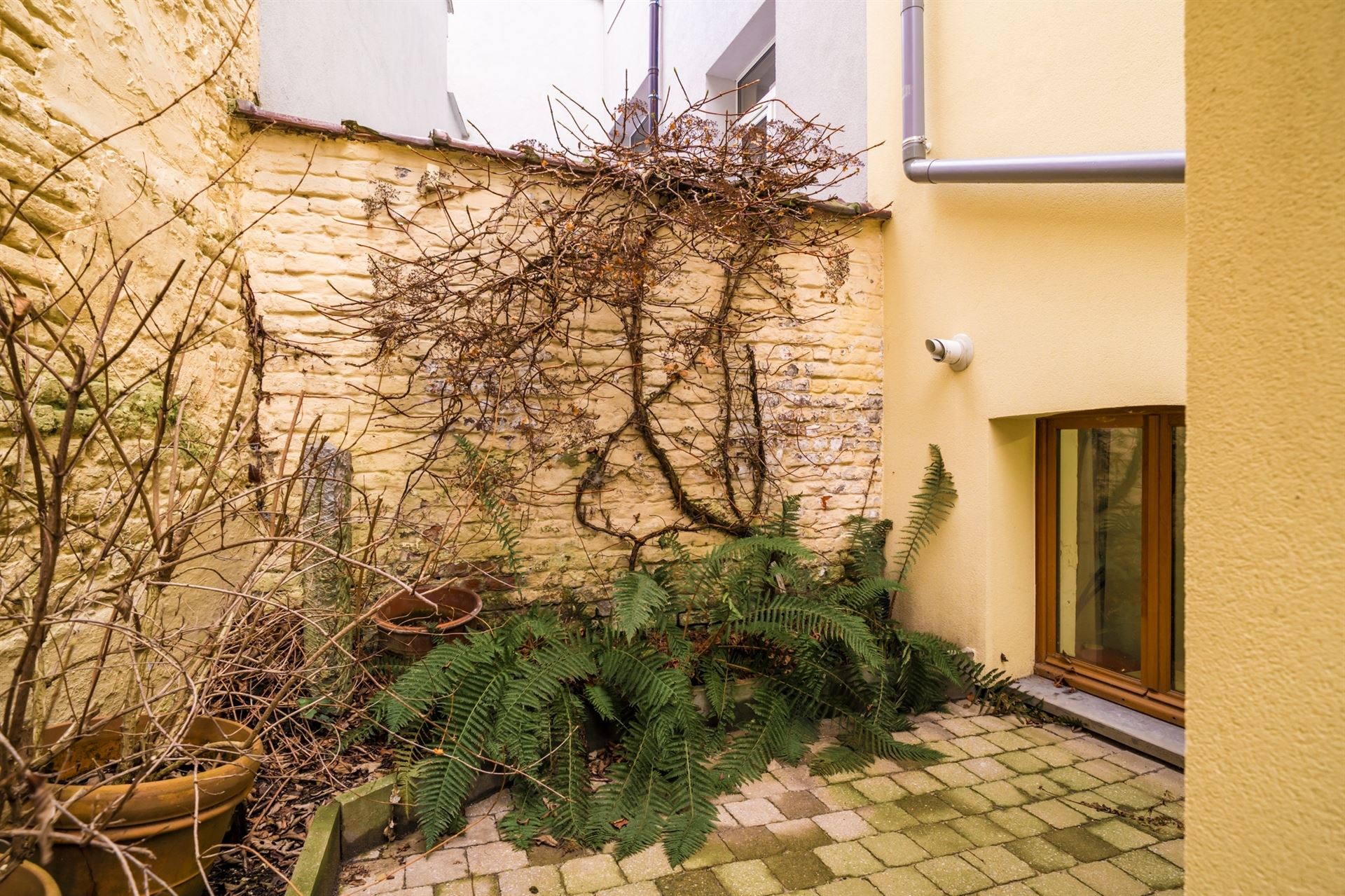 Ruime en lichtrijke eengezinswoning met authentieke charme en hedendaags comfort - foto 2