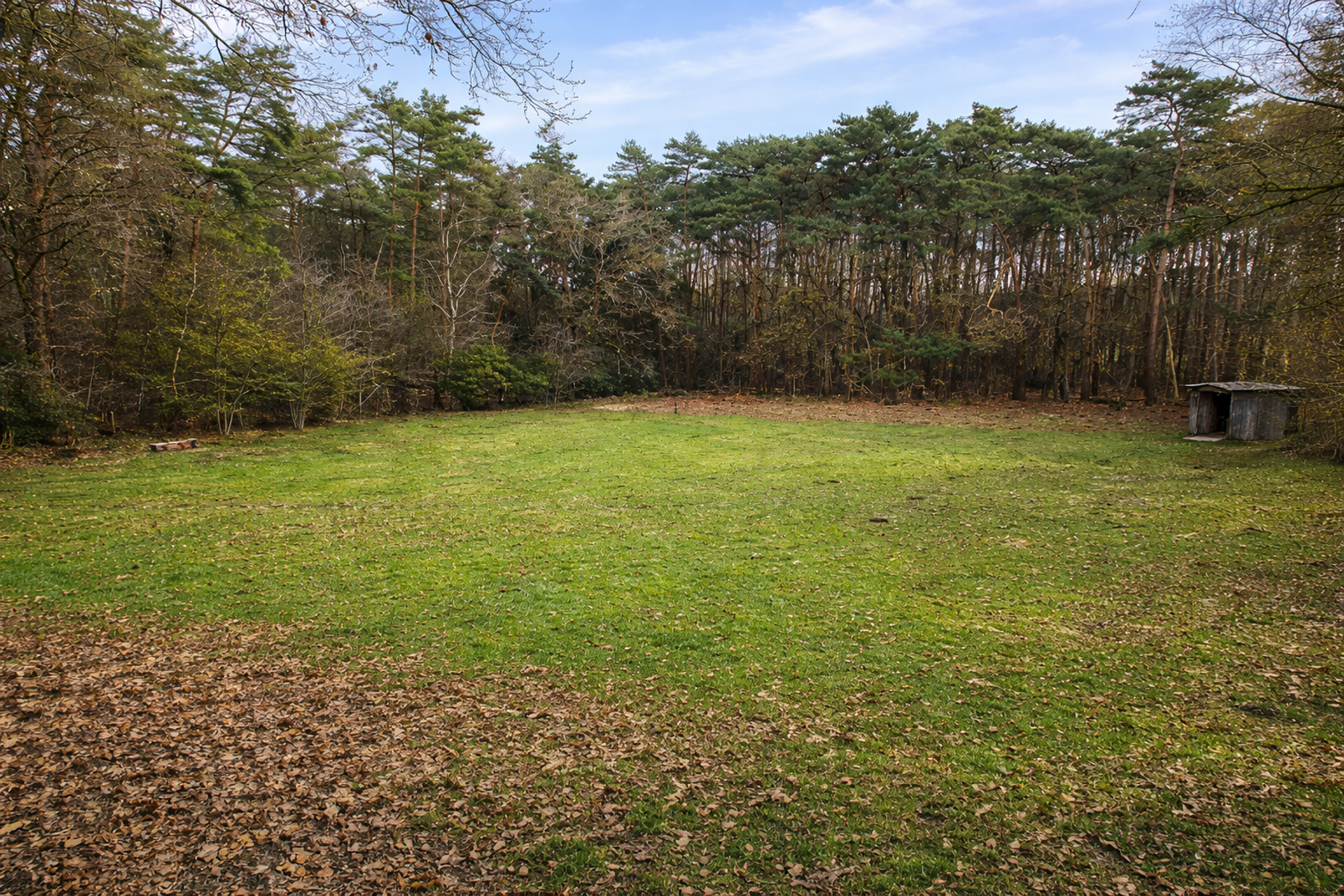 Prachtig weiland in bosgebied te Halle-Zoersel. - foto 4