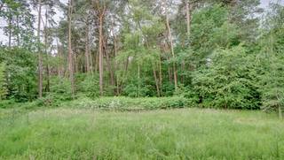 Zeer rustig en residentieel gelegen villa in villalaan op een mooi perceel van 30 are met een perceelsbreedte van 41 meter. Zuid-west georiënteerd.<br />Gunstig gelegen op 800m van school Atheneum - 1,5km van centrum en 2km van golf.<br />Omvat: inkomhal, vestiaire, wc, ruime living van 68m², ingerichte keuken met eethoek 32m², ruime garage voor 1 wagen met berging-wasruimte, bureel, 5 ruime slaapkamers (37m² - 24m² - 23m² - 20m² - 20m²), 3 bad-of douchekamers waarvan een douchekamer verder af te werken, bergzolder.<br />Bouwjaar 2007 in houtskeletbouw. <br />De villa dient opgeknapt te worden en is deels verder af te werken.<br />CV met aardgas - deels met vloerverwarming. <br />EPC 148 kwh/m² - energielabel B - UC1967329-RES-2. Ki 4.450 euro.<br />Totale vloeroppervlakte: 390m².<br />Stedenbouw info: vergunning uitgereikt - woonpark = residentieel woongebied - geen rechterlijke herstelmaatregel of bestuurlijke maatregel opgelegd - geen voorkooprecht ruimtelijke ordening – verkavelingsvergunning.<br />Niet overstromingsgevoelig - gebouwscore A - perceelscore A.