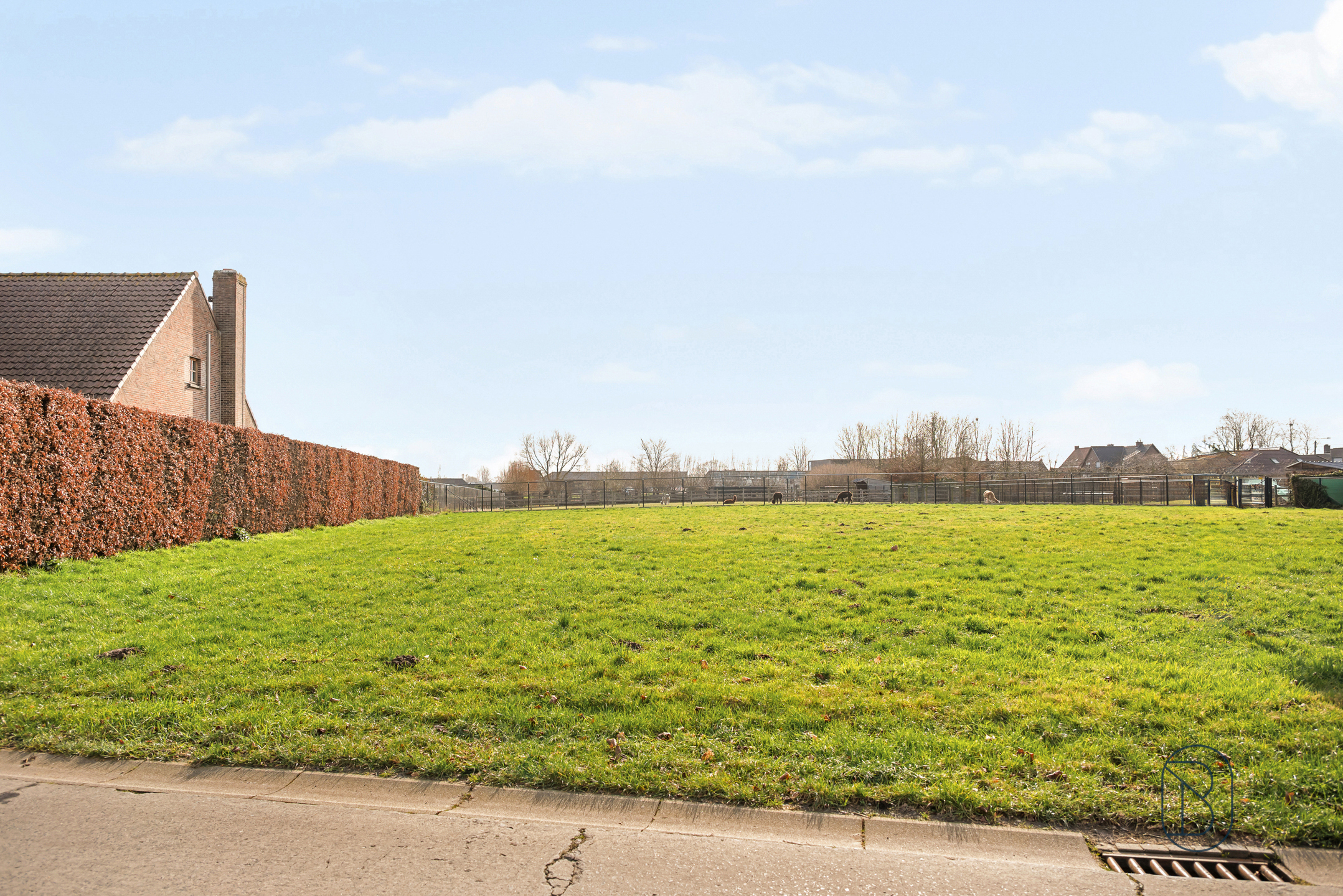 Bouwgrond te koop op een toplocatie in Deerlijk! - foto 5