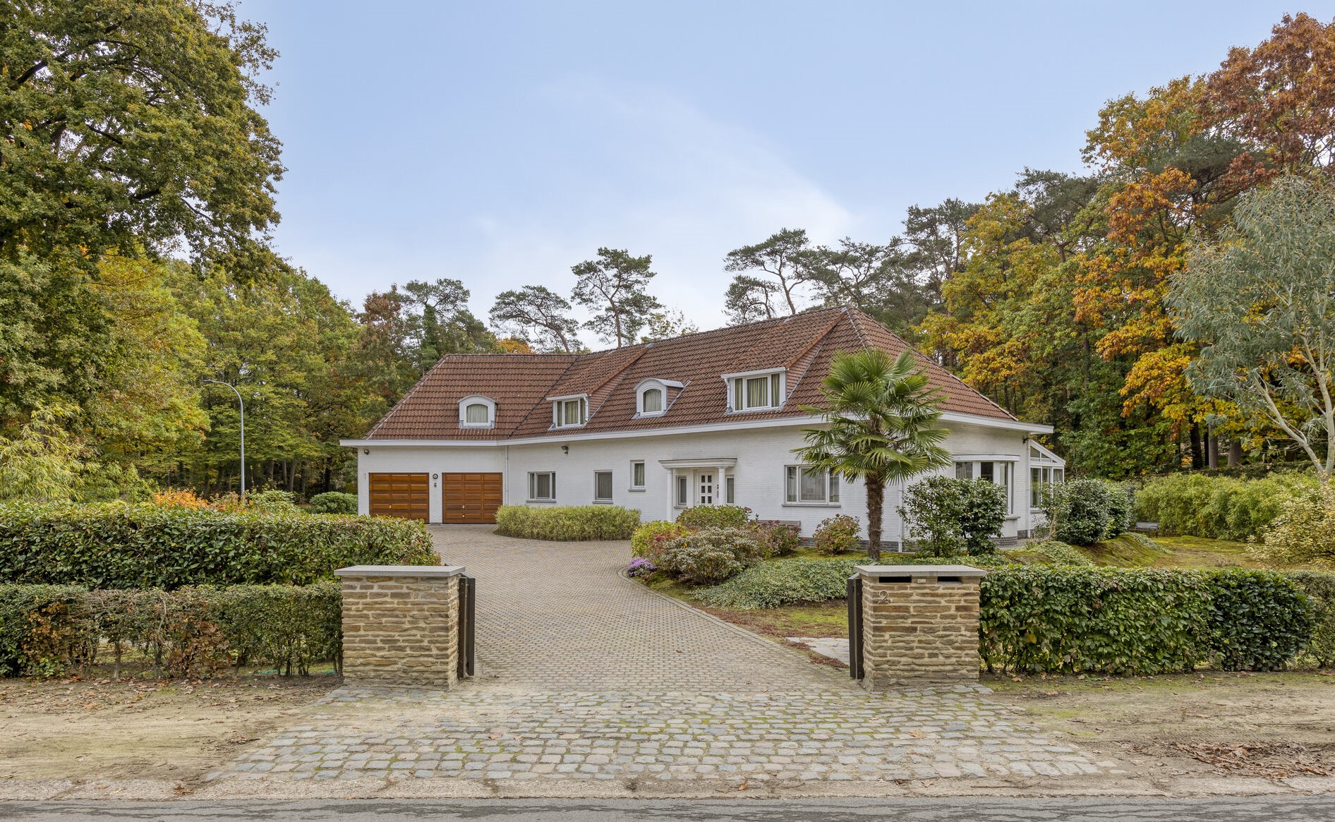 Ruime villa-woning op knap perceel van 30 are - foto 1