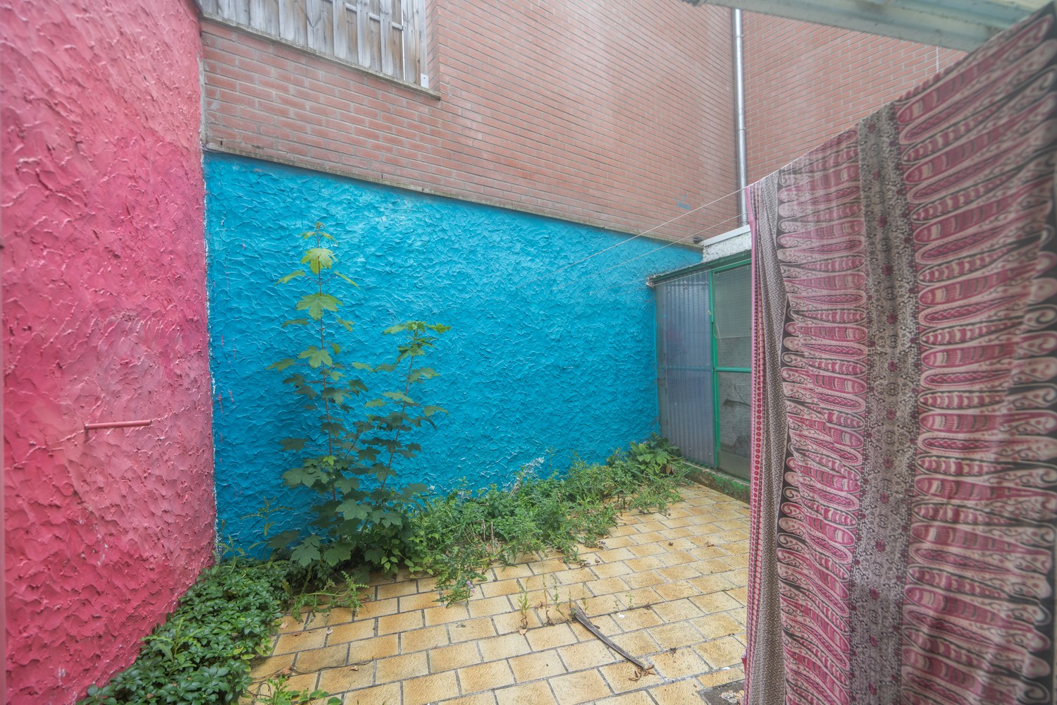 Woning met diverse mogelijkheden - foto 5