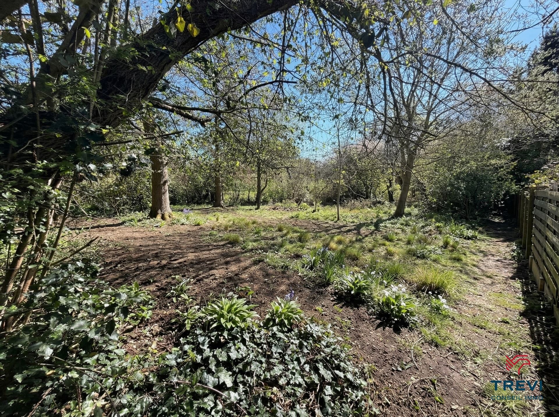 Huis te koop in Ittre met 3 slaapkamers - foto 4