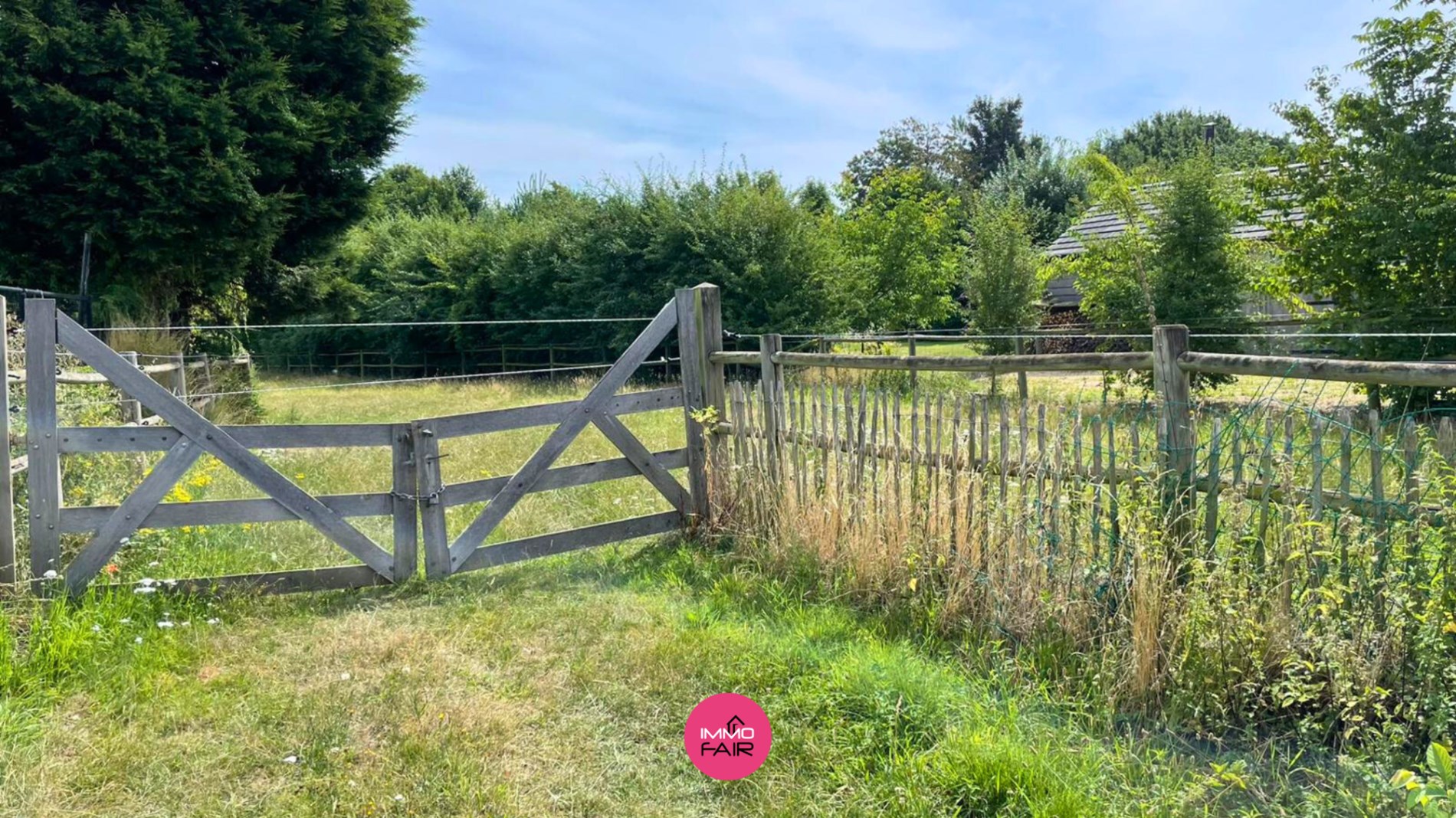 Weiland van maar liefst 6012 m²! - foto 5