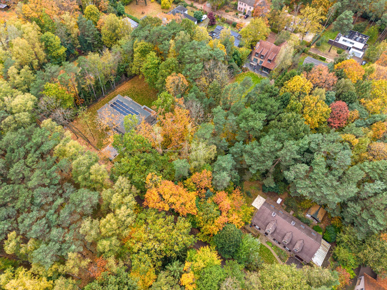 Residentieel gelegen bouwgrond van 15 are voor een open bebouwing te Rotselaar (Heikantberg) - foto 5