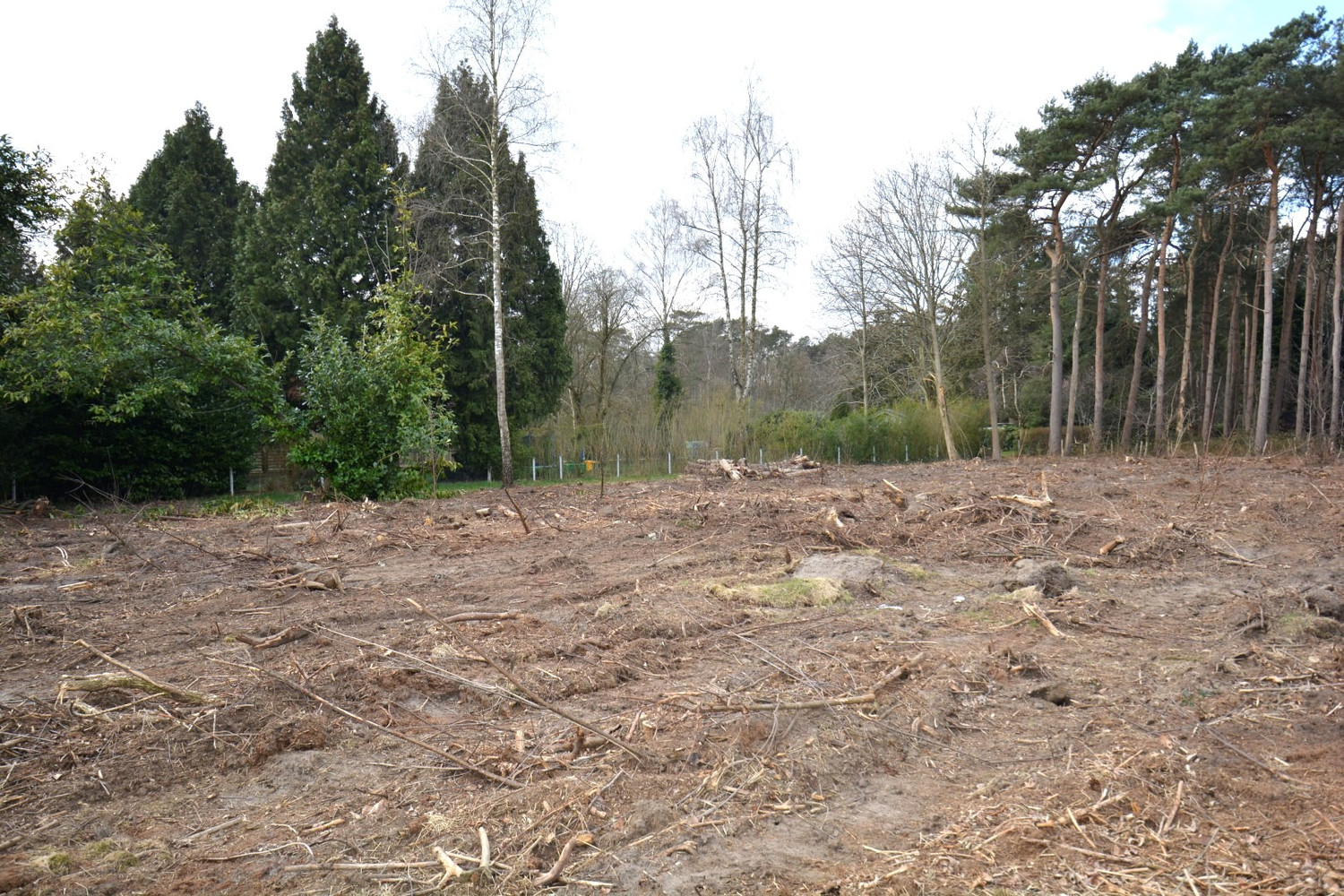 PERCEEL RECREATIEGROND VAN 1.610 m² - foto 4