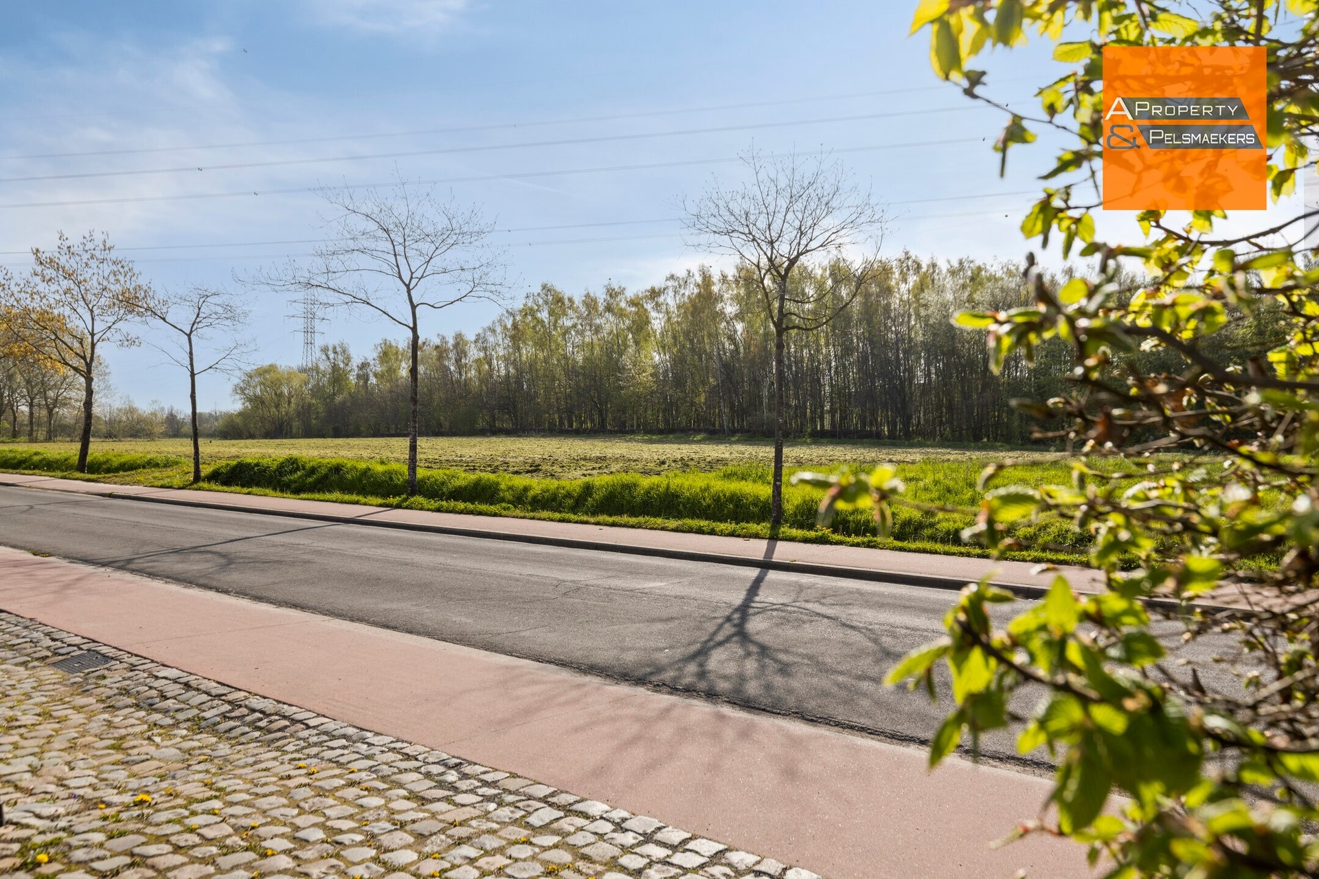 Instapklare, lichtrijke woning op topligging nabij natuurgebied Dorent - foto 3