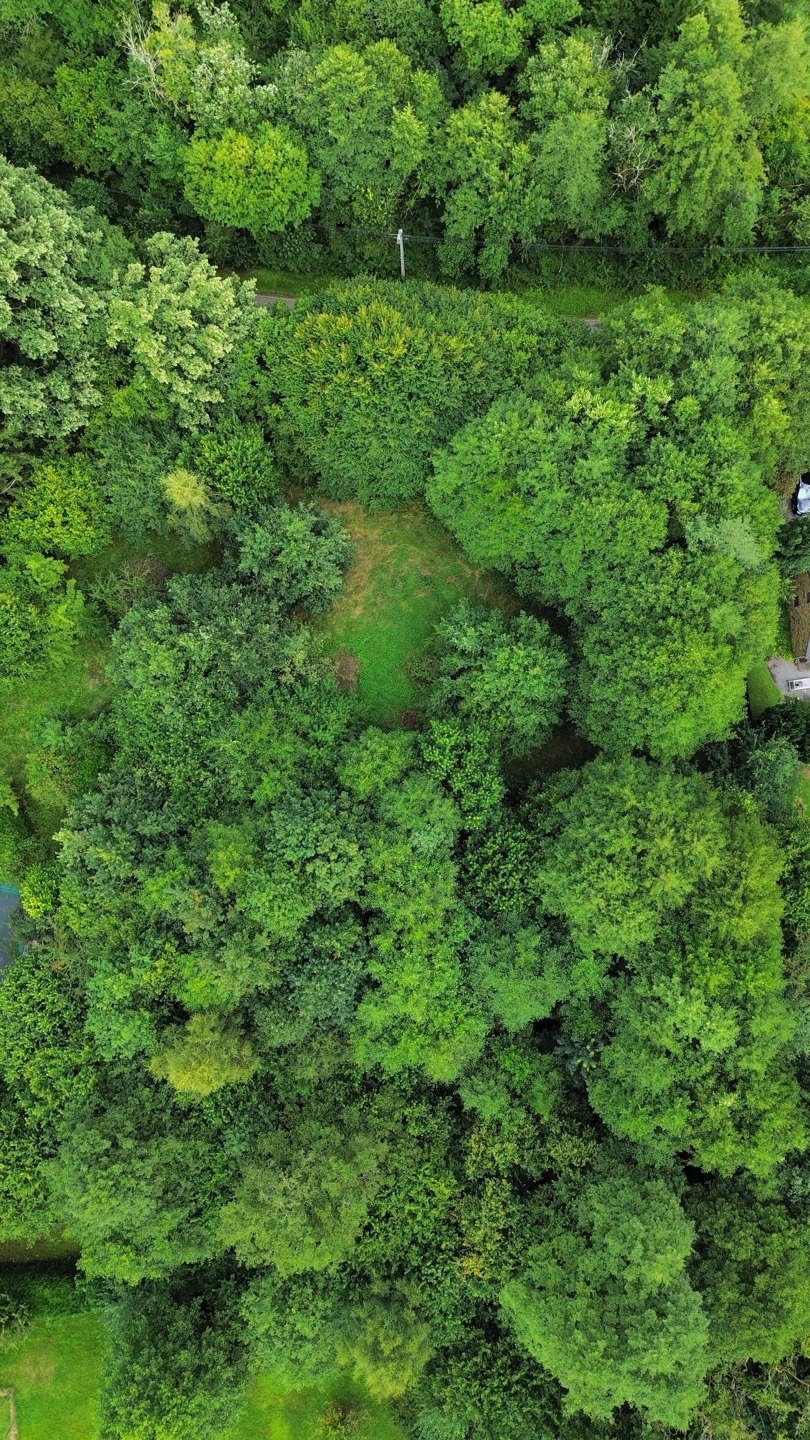 Grond te koop in Stoumont - foto 5