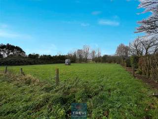 SOUS OPTION Silly, Hellebecq, situé dans un environnement campagnard, au calme, un magnifique et grand terrain à bâtir de 19 ares et 40 centiares...