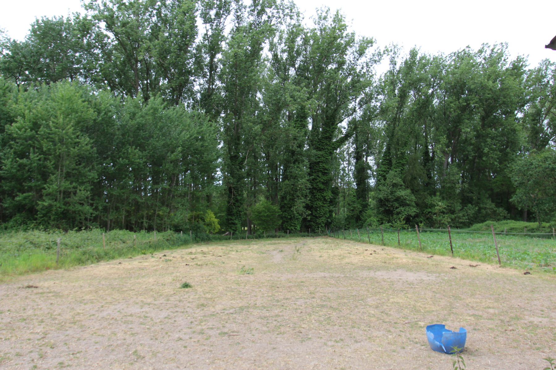 Perceel weide gelegen in woonuitbreidingsgebied te Wanzele - foto 3