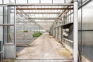 Op een rustig gelegen stukje landbouwgrond bevindt zich een ruime glazen serre met een oppervlakte van ongeveer 4000 m². Het terrein is...