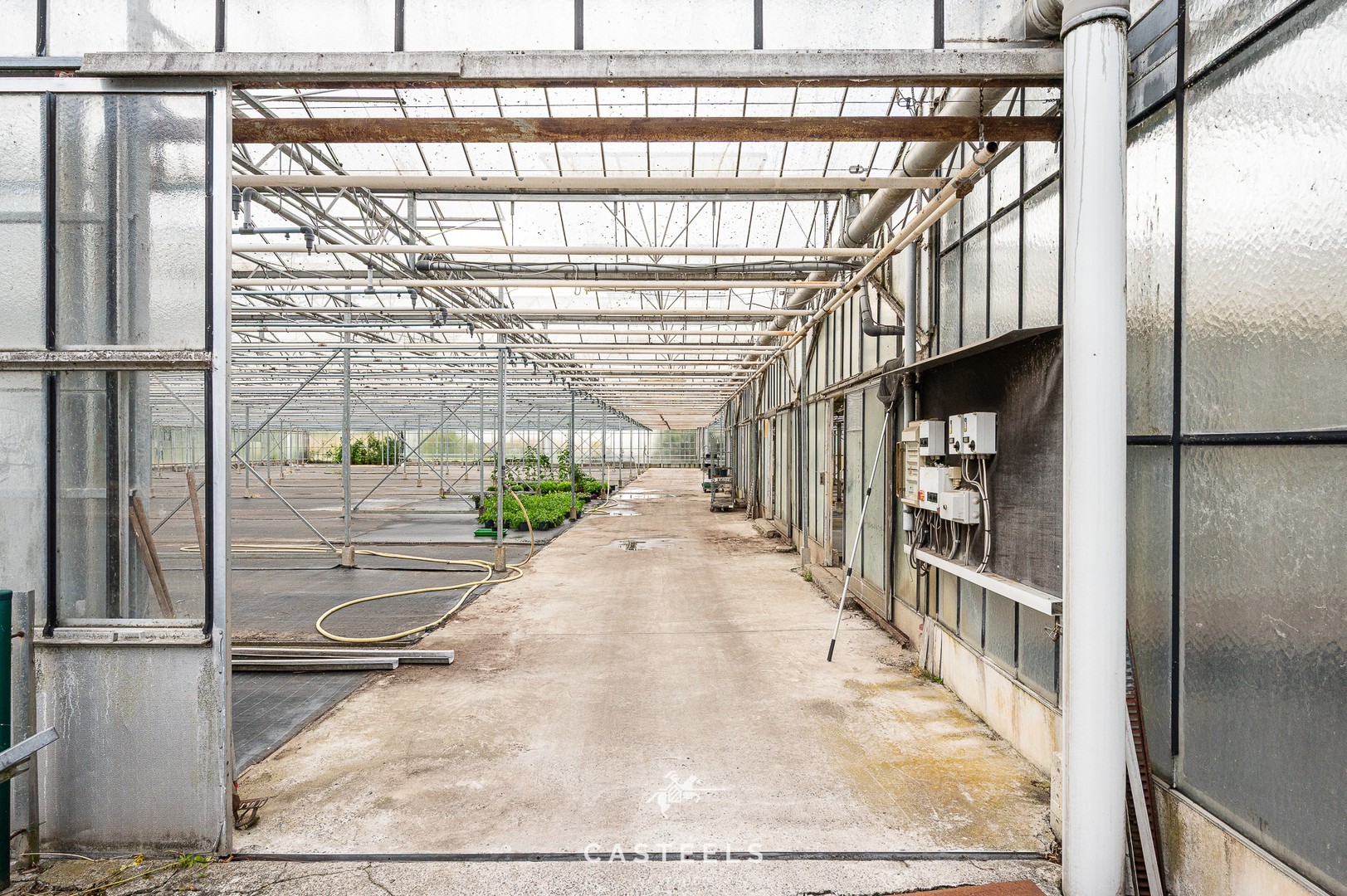 Serre op agrarische grond met logistieke toegangsweg - foto 1