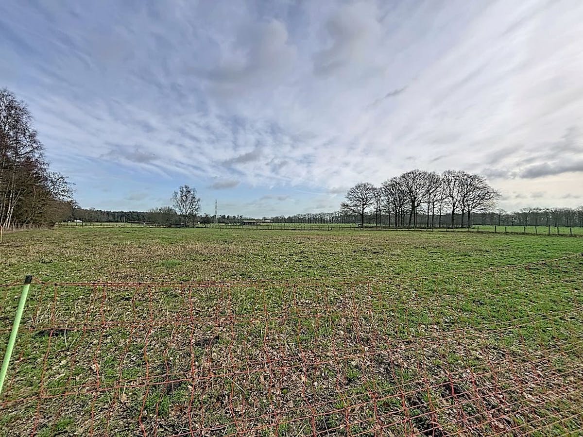 Grond van 9396 m² te koop in Gooreind - foto 4