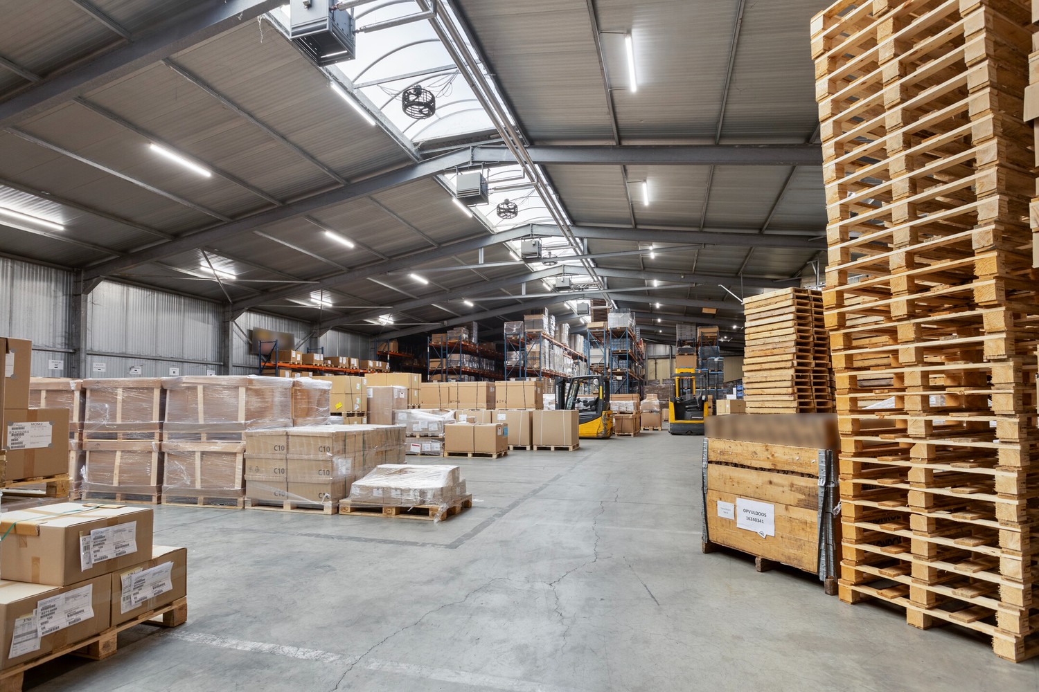 Ruime bedrijfssite van 1ha 28a 36ca met woning te koop te Sint-Truiden - foto 4