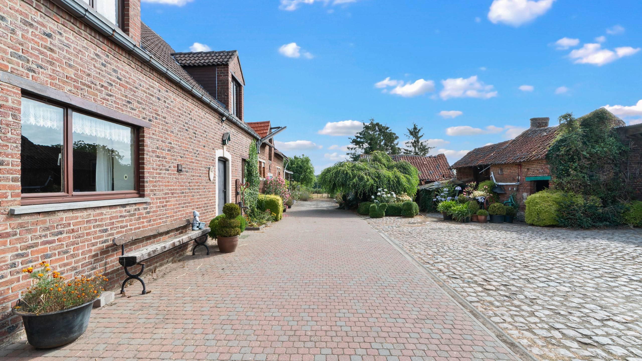 TIELT-WINGE- Ruime woning met bijgebouwen, binnenkoer op 96a - foto 5