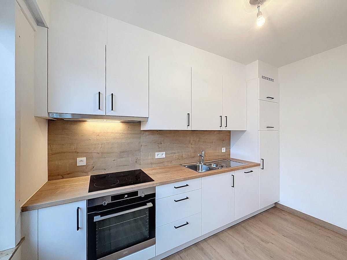 Appartement spacieux et rénové sur la plage de la ville de Gand - photo 3