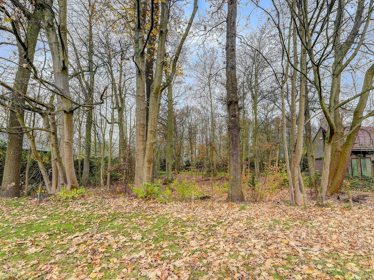 Te koop: Rustig gelegen grond in villawijk - foto 5