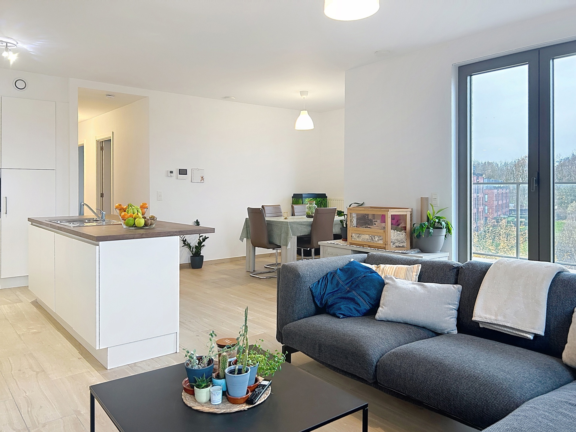 Appartement te huur in Lier met 2 slaapkamers - foto 3