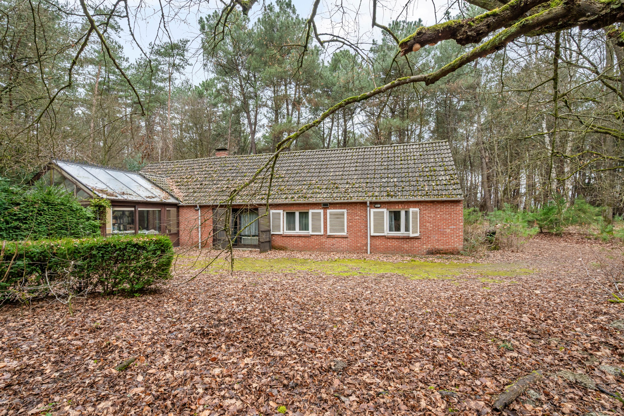 Uniek domein (12 ha) in Geel: oase van rust en mogelijkheden - foto 2