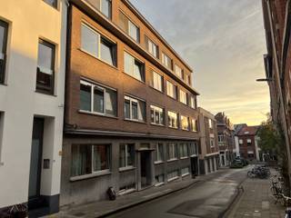 Deze mooie ruime studio in het hartje van Leuven, stelt Immodrome graag aan u voor.De studio, gelegen op de hoogste verdieping, aan de achtergevel,...