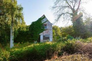 Open bebouwing op top ligging aan de Schelde, midden in rust en groen te BuggenhoutOp zoek naar een renovatieproject met uitzonderlijk potentieel en...