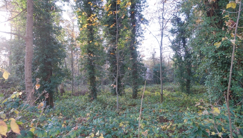 Mooie bouwgrond van 30 are voor villa of duo-wonen - foto 3