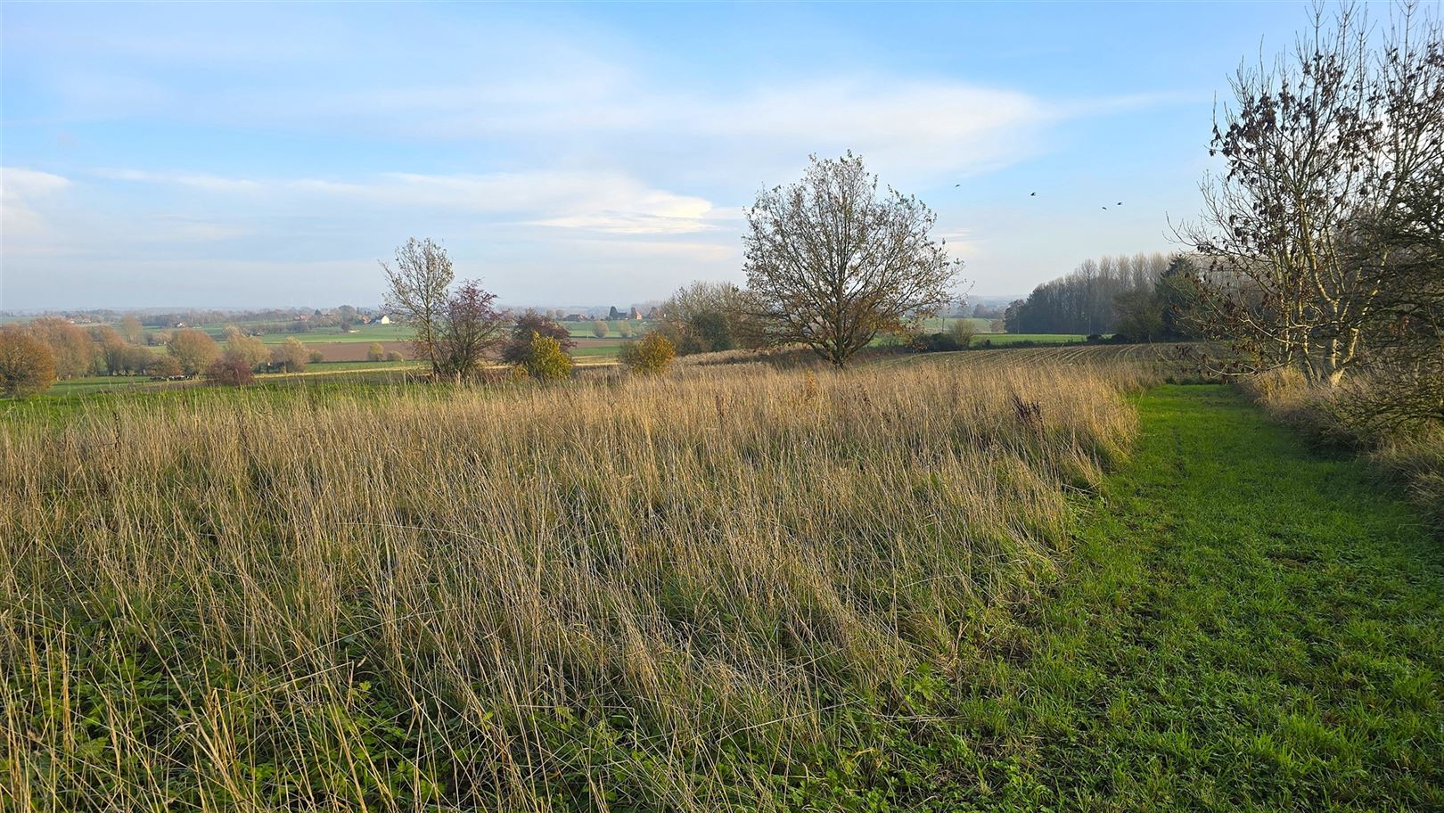 Magnifique terrain à bâtir offrant une vue imprenable - photo 4